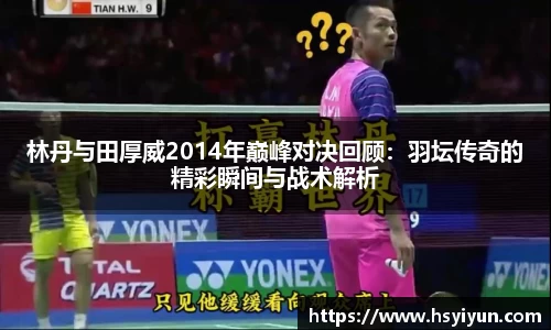 3377体育官网